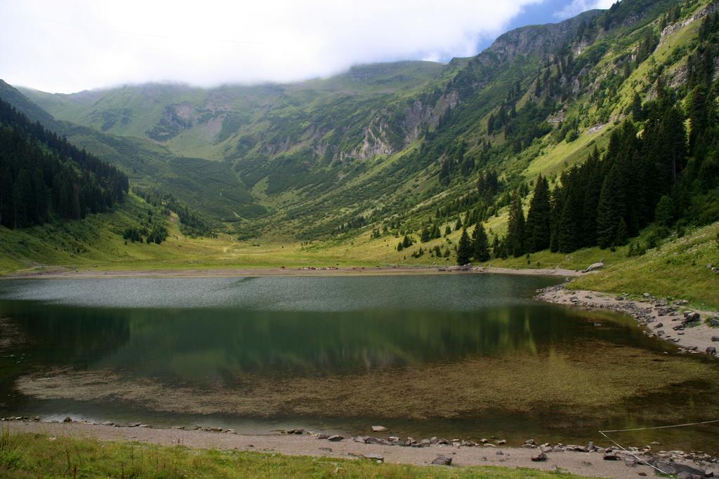 Residence Les Chardons Argentes 2 Samoëns Dış mekan fotoğraf