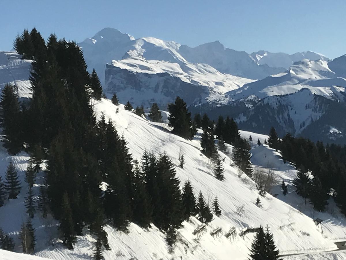 Residence Les Chardons Argentes 2 Samoëns Dış mekan fotoğraf