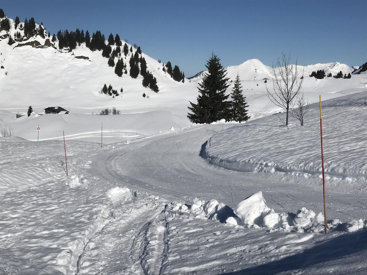 Residence Les Chardons Argentes 2 Samoëns Dış mekan fotoğraf